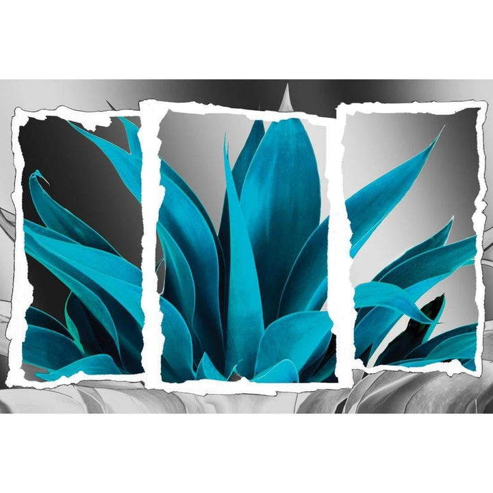 Plant in Window, Turquoise Wall Art