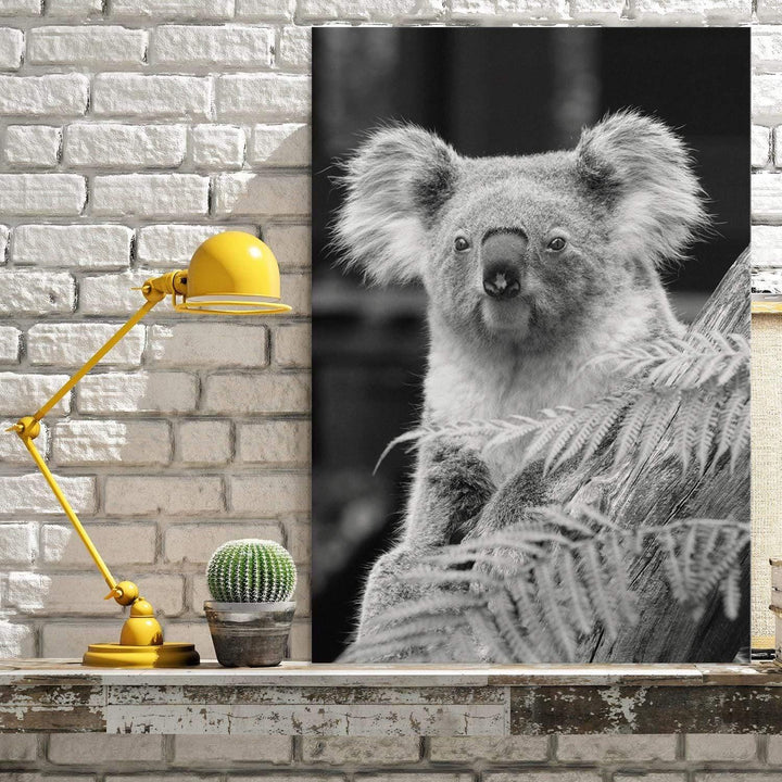 Ken the Koala Wall Art