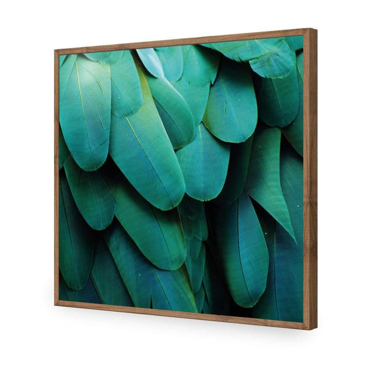 Macaw Feathers (Square) Wall Art