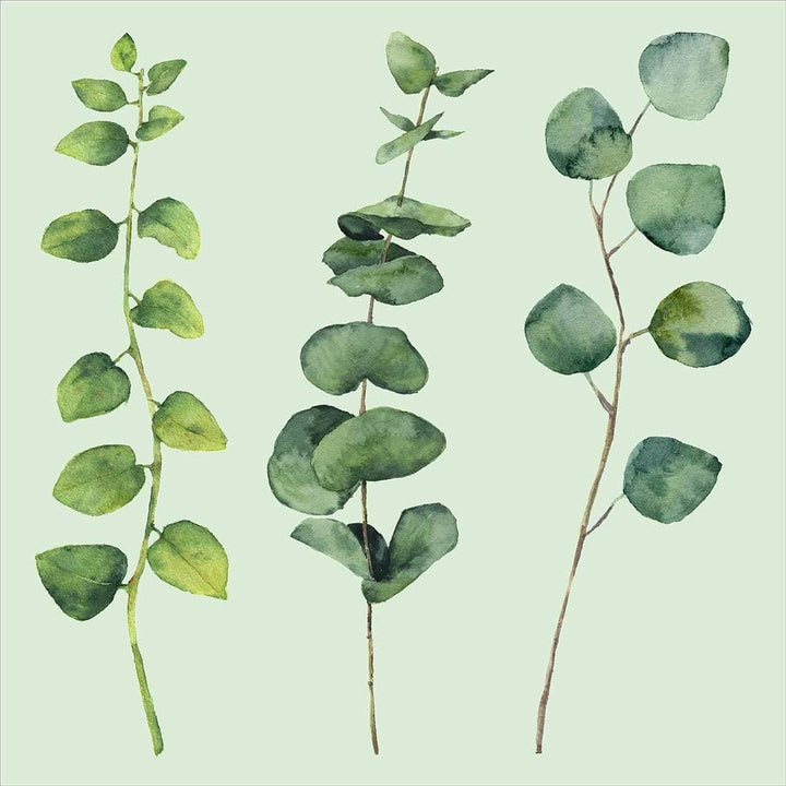Fragrant Herb Trio, Green (Square) Wall Art