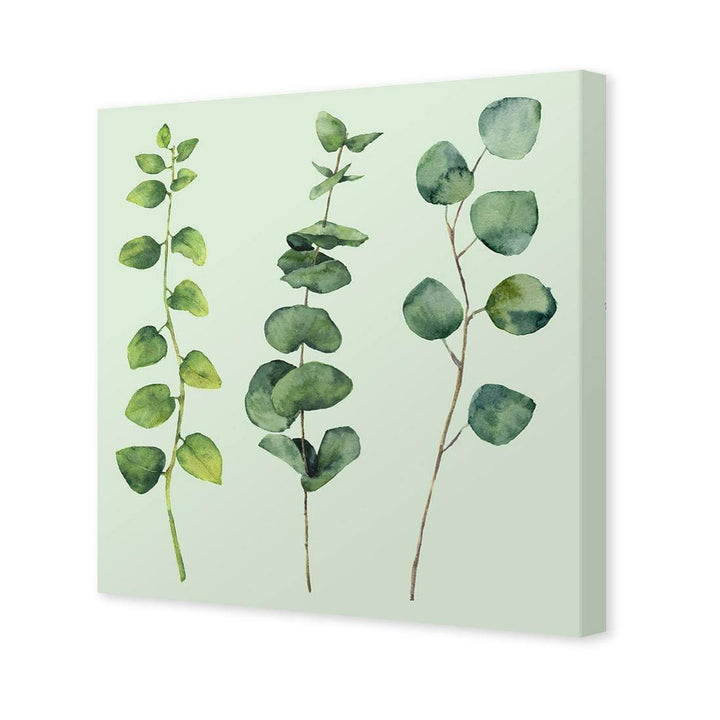 Fragrant Herb Trio, Green (Square) Wall Art