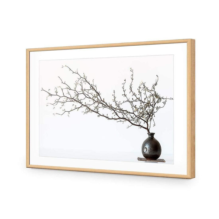 Vase and Branch By Prbimages Wall Art